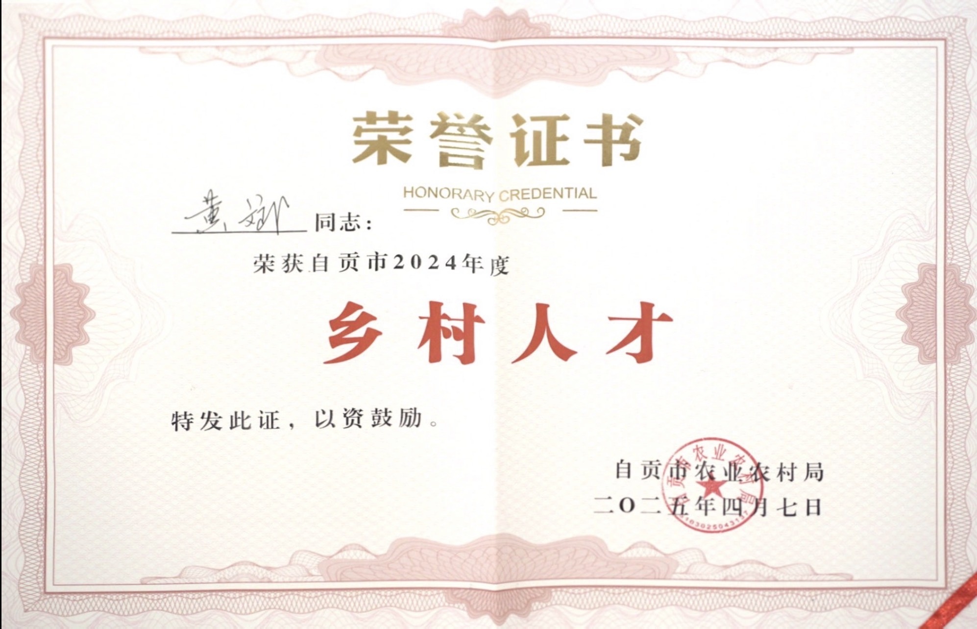 自贡市2024年度乡村人才